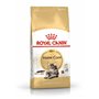Royal Canin Maine Coon Adult | Pack 3 | 3 x 400 g | Aliments secs pour Chats | Adapté aux Besoins des Chats Maine Coon | pour So