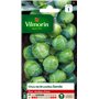 Vilmorin 3334841 Chou Vert 9 x 0.5 x 16 cm