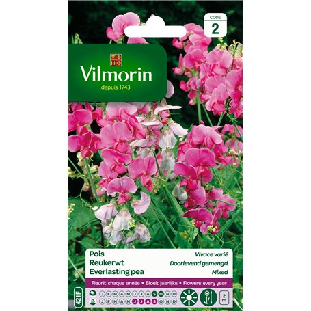 Vilmorin 5630142 Pois vivace varie Multicolore 9 x 0