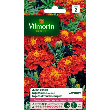 Vilmorin 5441142 Œillet Rouge 9 x 0.5 x 16 cm