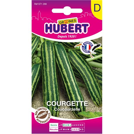 Graines de Courgette d'Italie Coucourzelle - NON coureuse