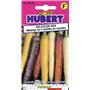 Graines de Carotte en Mélange de 4 Variétés Arlequin Mix - 1