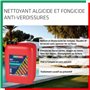 Parexlanko - Nettoyant liquide - 251 Lanko Net Vert - Nettoyant algicide et fongicide - Pour toiture, façade et terrasse - Trans
