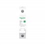 Schneider Electric Disjoncteur RESI9 1P 10A B 6KA R9F23110