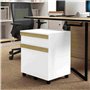 Vinsetto Caisson de Bureau à roulettes Meuble de Rangement Mobile avec 2 tiroirs coulissants trieur à dossiers 48 x 40 x 59,5 cm