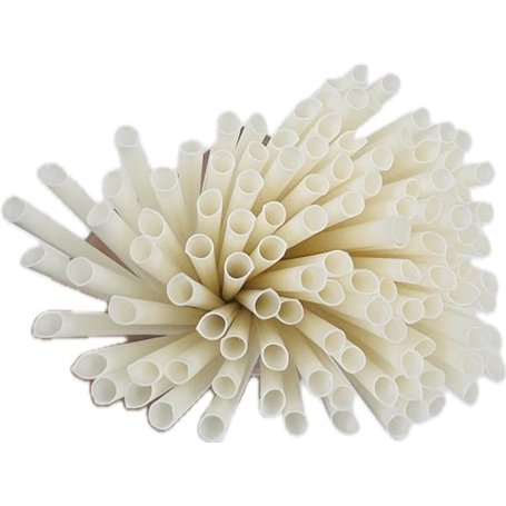 Pailles Éco-Responsables en Pomme de Terre (biseautées d'un côte) - sans plastique- Lot de 100