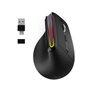 Souris ergonomique - Sans fil - MOBILITY LAB - ML314259 - Noir