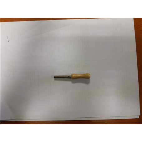 Helen Baud Appeau poussin