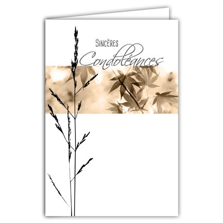 AFIE 64-1036 Carte Sincères Condoléances avec Enveloppe Blanche - Argenté Brillant Feuilles Erable Sépia Graminée Graphisme Cont