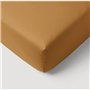 Drap housse - P'TIT DODO - 60 x 120 cm - Jersey - Caramel