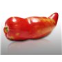 25 graines à semer - Le Grenier d'Abondance - TOMATE Cornue des Andes - fruits allongés et juteux