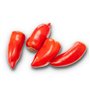 25 graines à semer - Le Grenier d'Abondance - TOMATE Cornue des Andes - fruits allongés et juteux