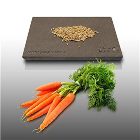 500 graines à semer - Le Grenier d'Abondance - CAROTTE Potagère Touchon - Daucus Carota