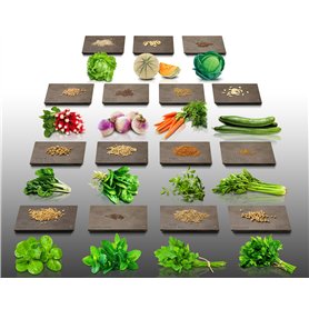 Lot de 3940 graines à semer - Le grenier d'Abondance - Potager semis de Juillet - 15 sachets individuels