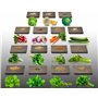 Lot de 3940 graines à semer - Le grenier d'Abondance - Potager semis de Juillet - 15 sachets individuels