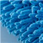 PARENCE.- Brosse Télescopique Microfibre - Plumeau Extensible pour Nettoyage à Sec et Humide - Longueur Ajustable de 25 cm à 75 