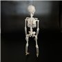 THE REPLICANT Squelette à Suspendre en Plastique/Hauteur : 40 cm