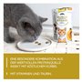 GimCat Crunchy Snacks Insecte à la Citrouille – Friandise pour Chat croustillante et Riche en protéines – 1 Sachet (1 x 50 g)