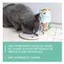GimCat Crunchy Snacks Canard avec Herbe à Chat - Friandise pour Chat croustillante et Riche en protéines - 1 Sachet (1 x 50 g)
