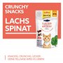 GimCat Crunchy Snacks Saumon et épinards – Friandise pour Chat croustillante et Riche en protéines – 1 Sachet (1 x 50 g)