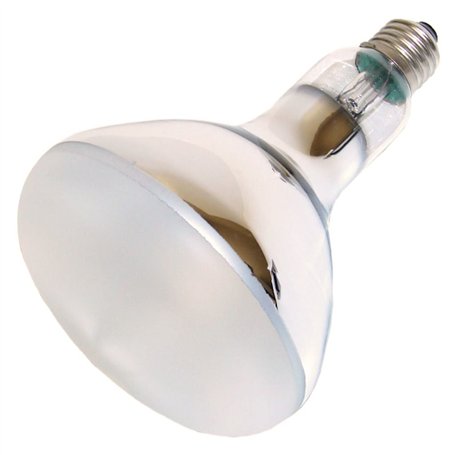 OSRAM P10650009 ULTRA VitalX Lampe UV technique