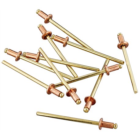 Connex COXT197306 Rivets borgnes en Cuivre/Bronze