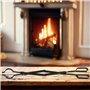 Pince à feu pour Bois & briquettes