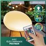 EASYmaxx Pierre solaire décorative set de 3 pièces | Lampe de jardin avec éclairage DEL à changement de couleur | Lampe de jardi