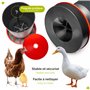 Garronda Mangeoire Poule Antinuisible 6 kg – Distributeur de Graines Volaille avec Couvercle et Poignée – Mangeoire Élevage pour