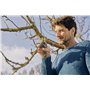 Gardena - Sxe9cateur ExpertCut : Sxe9cateur de prxe9cision, coupe bypass pour branches/rameaux/arbres fruitiers, diamxe8tre de c