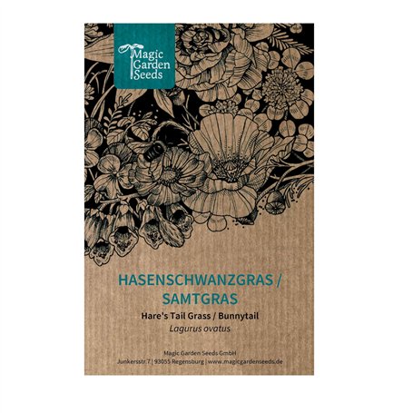 Lagure ovale / Queue de lièvre (Lagurus ovatus) env. 300 graines d'herbe ornementale pour le jardin naturel