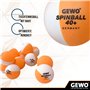 GEWO SPINBALLS Lot de 40 balles de Tennis de Table en Plastique avec Coutures – Balles de ping Pong pour l'entraînement au Spin 