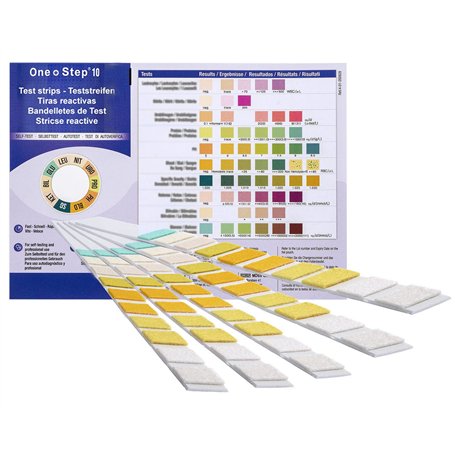 15 x One+Step Test de Bandelettes de santé - multi 10 paramètre - avec une carte de référence