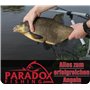 Paradox Fishing Lot de 120 perles en caoutchouc de 3 à 8 mm I Perles en caoutchouc pour la pêche Accessoires de pêche Parfait av