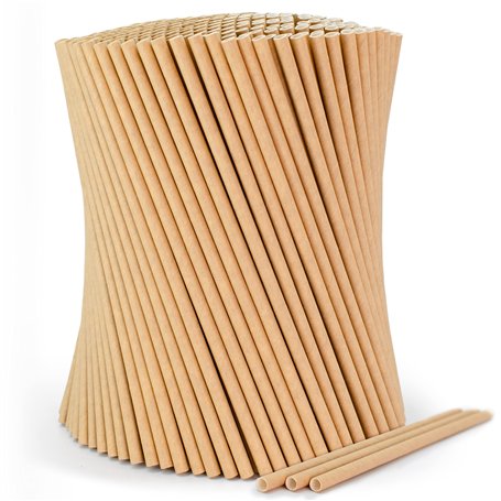 wisefood Lot de 100 pailles marron