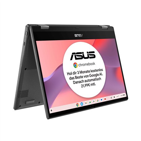 ASUS Chromebook Flip CM1 Ordinateur Portable