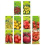 Nojus - Lot de graines de tomates - 20 variétés - Kit de démarrage de graines de tomates diverses - 20 paquets - Graines de jard