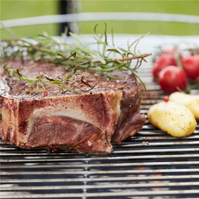 VGOL Lot de 2pcs Coques de Clé à Distance à 2 Boutons Compatible avec Rover 75 MG ZT Compatible avec Land Rover Discovery Téléco