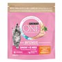 PURINA ONE Bifensis Junior | Croquettes Au Poulet pour Chaton | Sac de 450g (L'emballage Peut Varier)