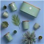 Typhoon LIVING Collection Sucrier avec couvercle | Vert pastel | Boîte de rangement pour sucre de cuisine 1 l | Récipient à sucr