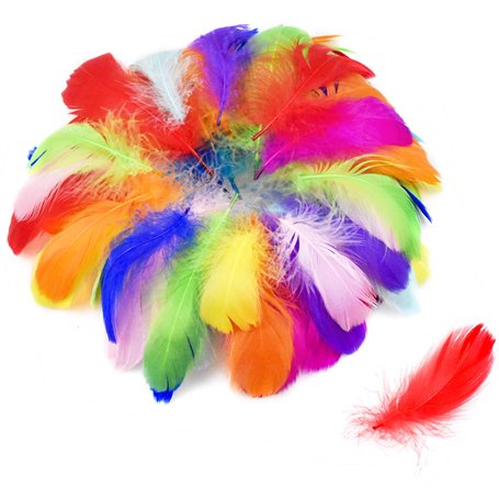 volumoon 100Pcs Plumes Colorées