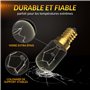 BrightWish Ampoule E14 T22-42W (40, watts) - 2700K Blanc Chaud - Dimmable - Résistante à 300°C - Pour Four, Réfrigérateur et Lam