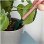 Mini outils pour plantes d'intérieur – Ensemble d'outils de jardinage d'intérieur – Mini pelle – Mini truelle – Mini râteau – En
