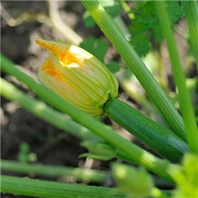 GADLANE Set de Rampes de Nivellement pour Caravane - 3 Niveaux