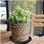 Vesaneae 6 Pièce Soucoupe Plante Plastique, 15cm Soucoupe Ronde en Plastique pour Pot de Fleur, Soucoupe pour Pot de Fleur, Plat