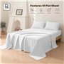 Rehan & Co Drap plat Super King Size - 100 % coton égyptien 300 fils au pouce carré - Qualité hôtelière - Uni - Respirant - 275