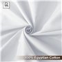 Rehan & Co Drap plat Super King Size - 100 % coton égyptien 300 fils au pouce carré - Qualité hôtelière - Uni - Respirant - 275