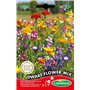 Germisem Dwarf Graines de Mélange de Fleurs 8 g EC1650 Multicolore