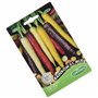 Germisem graines Carotte RAINBOW F1 MIX