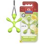 Désodorisant Pour Voiture Dr Marcus Lucky Top Citrique Plastique Pendentif (12 Unités)